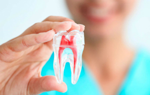 Periodoncia